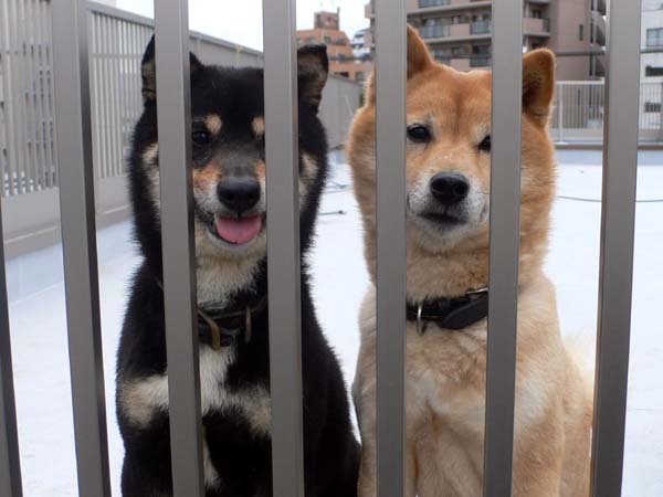 社長